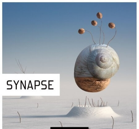 Pulsed Records Synapse WAV